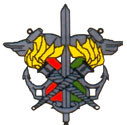Service des Essences des Armées SEA logo